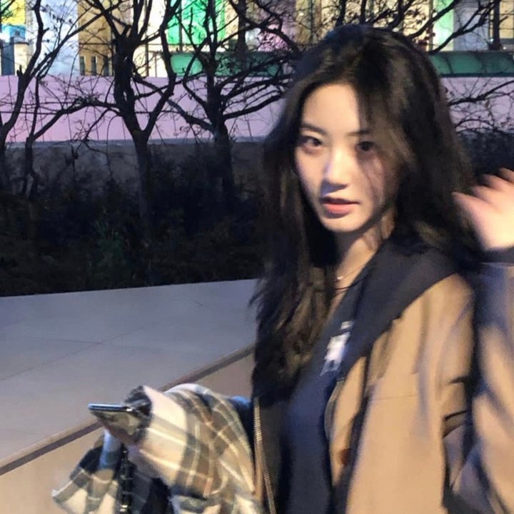 大指挥家:弦上的真相